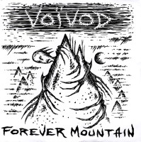 Album cover for Forever Mountain / Phonetics for the Stupefied