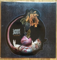Album cover for Stunt Your Growth