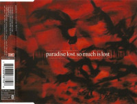 Album cover for So Much Is Lost