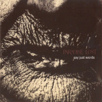 Album cover for Say Just Words