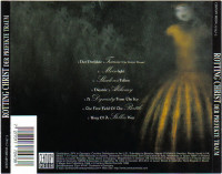 Album cover for Der perfekte Traum