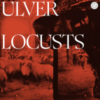 Album cover for Locusts