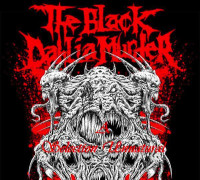 Album cover for A Selection Unnatural