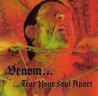 Album cover for Tear Your Soul Apart