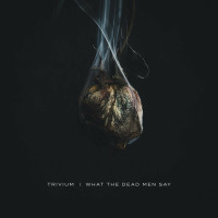 Album cover for Catastrophist