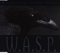 Album cover for Black Forever