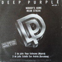 Album cover for Nobody’s Home / Mean Streak