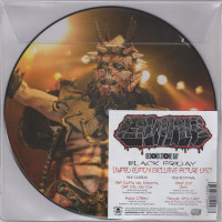 Album cover for Black Friday Limited Edition Exclusive Picture Disc!
