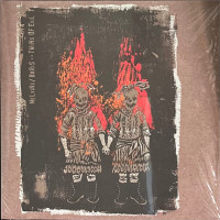 Album cover for Twins of Evil