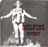Album cover for Cowboy / Hillbilly