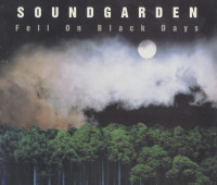 Album cover for Fell on Black Days - Black Disc