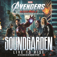 Album cover for Live to Rise