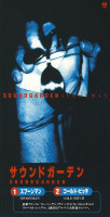 Album cover for Spoonman