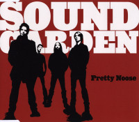 Album cover for Pretty Noose