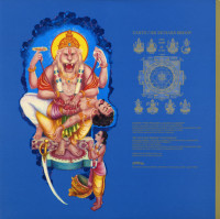 Album cover for The Peacock Angels Lament / Narasimha