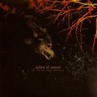 Album cover for The Forest That Shelters / Filament