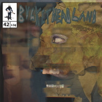 Album cover for Backwards Chimney
