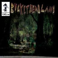 Album cover for Down in the Bayou, Part Two
