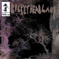 Album cover for 14 Days Til Halloween: Voice From the Dead Forest