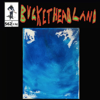 Album cover for Blue Dunes
