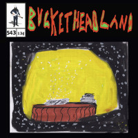 Album cover for The Mystery of Patience Worth