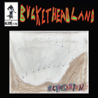 Album cover for Echo Canyon