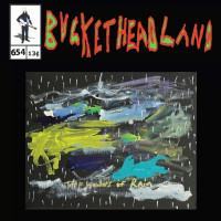 Album cover for The Wonders Of Rain