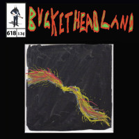 Album cover for Fly On The Wings Of A Flame