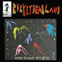 Album cover for Open Dream Doorways