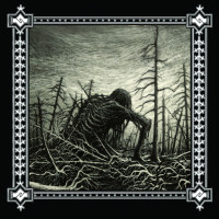 Album cover for Veri josta routa kasvaa