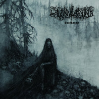 Album cover for Tuulikannel
