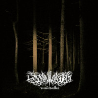 Album cover for Ruumiinvaellus