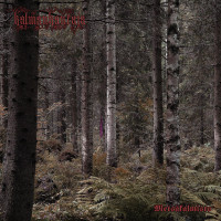 Album cover for Metsäkalmisto I