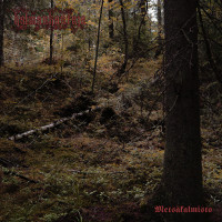 Album cover for Metsäkalmisto II