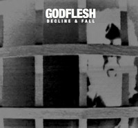 Album cover for Decline & Fall