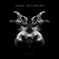 Album cover for Hollow