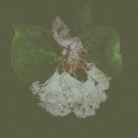 Album cover for Remembering Distant Stars