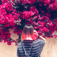 Album cover for Springgarden