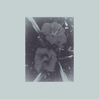 Album cover for Burning as the First Light
