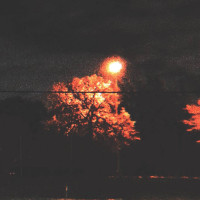 Album cover for springnight moment