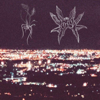 Album cover for Summerset Streetlights
