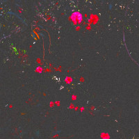Album cover for Secret Green