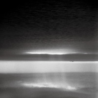 Album cover for unknown flowers