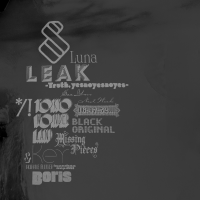 Album cover for New Album 2009