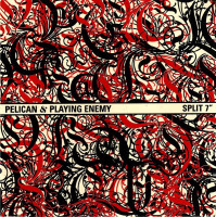 Album cover for Pelican / Playing Enemy