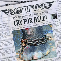 Album cover for Cry for Help!