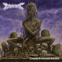 Album cover for Craving to Eternal Slumber