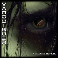 Album cover for Vanquisher