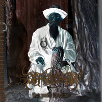 Album cover for The Path Is Clear