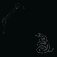Album cover for The Struggle Within